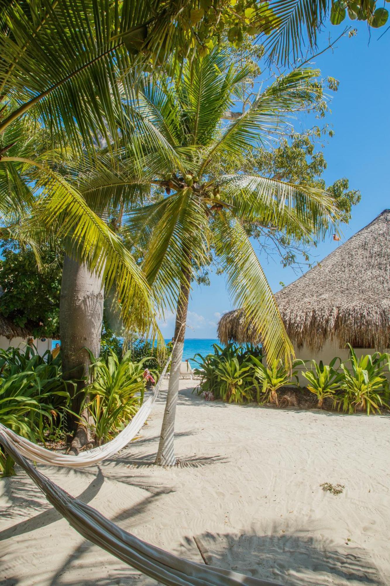 Hotel Isla Del Pirata Isla Grande  Eksteriør bilde